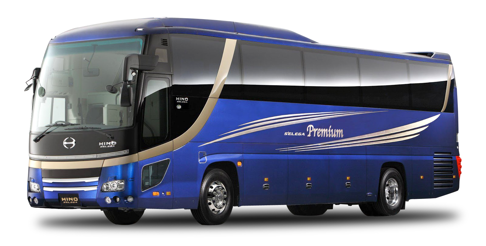 Bus Rental